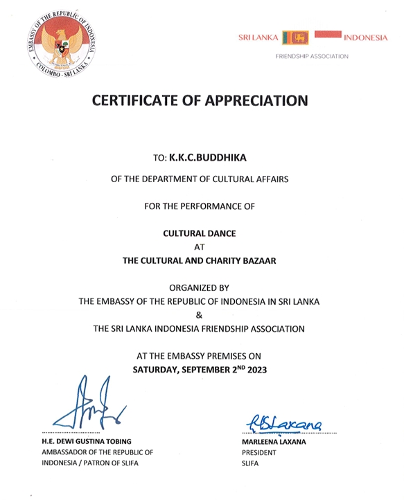 Excellence Award - Certificate 1